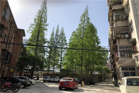 中迪广场二期3室2厅2卫62万92m2毛坯出售